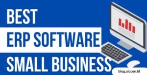 ERP for Small Business