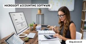 Microsoft Accounting Software